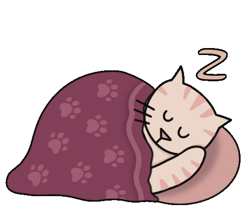 Cat Sleeping Under A Blanket