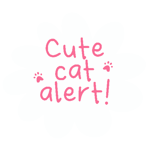 Cute Cat Alert!